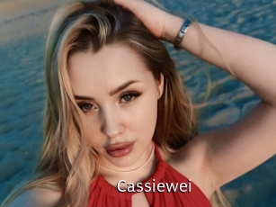 cassiewei Anal Fist