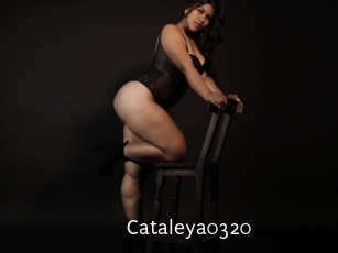 cataleya0320 Anal Fist