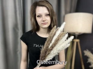 cateembury Anal Fist