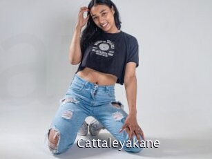 cattaleyakane Anal Fist