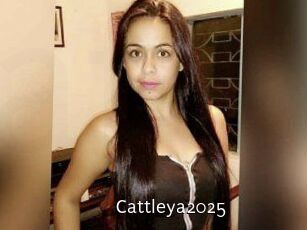 Cattleya2025