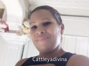 Cattleyadivina