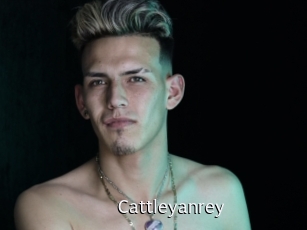 cattleyanrey Anal Fist