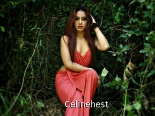 Celinehest