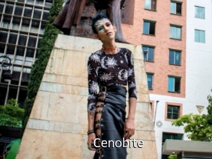 cenobite Anal Fist