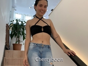 cherryboon Anal Fist