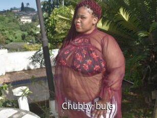 Chubby_bule