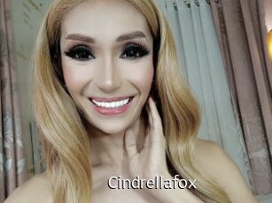 Cindrellafox
