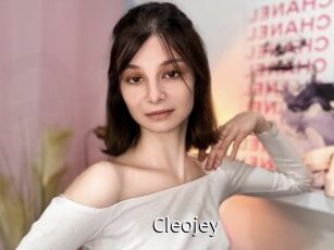 cleojey Anal Fist