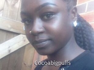 Cocoabigpuffs