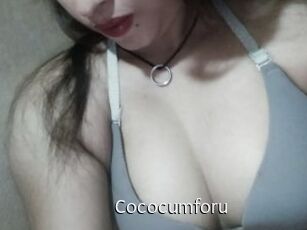 cococumforu Anal Fist