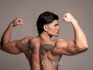 col_wild Anal Fist