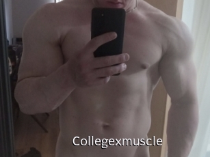 Collegexmuscle