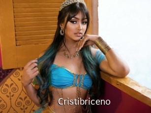 cristibriceno Anal Fist