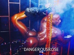 DANGEROUSROSE Anal Fist