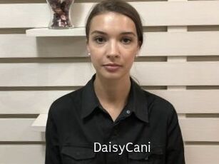 DaisyCani
