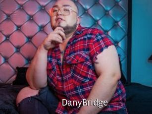 DanyBridge