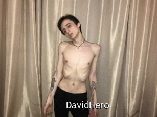 DavidHero