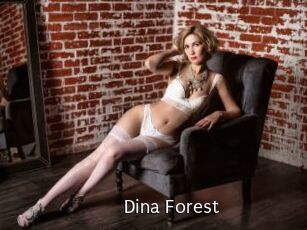 Dina_Forest