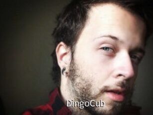 DingoCub