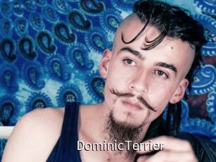 DominicTerrier