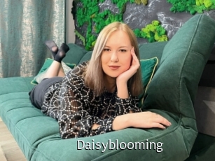 Daisyblooming