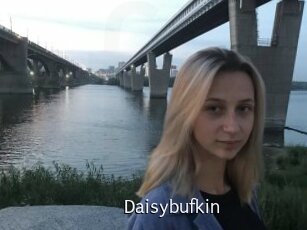 Daisybufkin