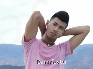 Damnfoxter