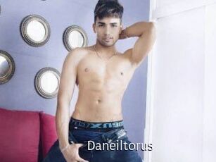 Daneil_torus
