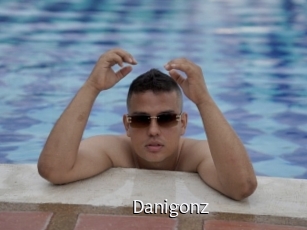 danigonz Anal Fist