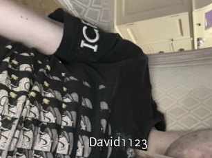 David1123