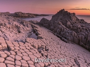davidhmodel Anal Fist