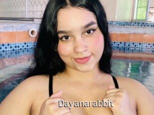 Dayanarabbit