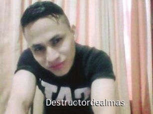 Destructordealmas