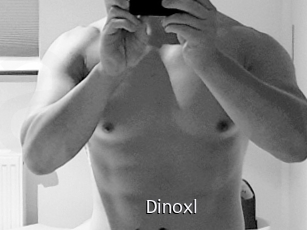 dinoxl Anal Fist