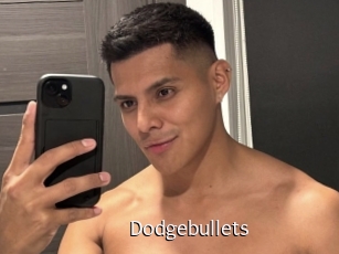 Dodgebullets