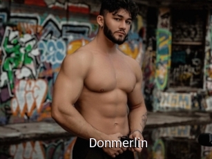 donmerlin Anal Fist