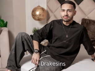 Drakesins