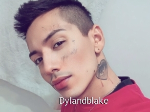 Dylandblake