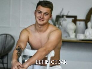 ELFIN_CEDAR