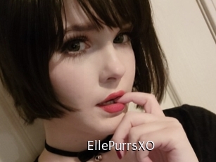 EllePurrsXO