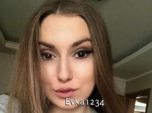 Evka1234