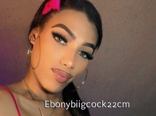 Ebonybiigcock22cm