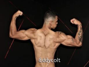 Eddycolt