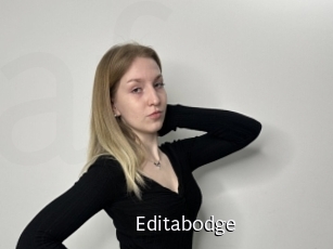 Editabodge