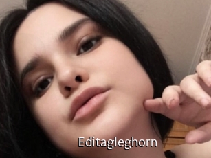 Editagleghorn