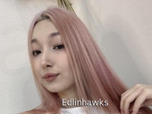 edlinhawks Anal Fist