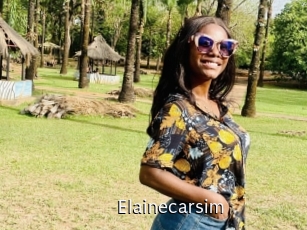 Elainecarsim