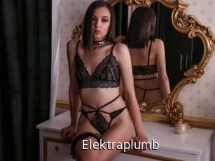 Elektraplumb