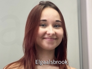 Elgaalsbrook